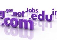 Find Good Domains Which are expired