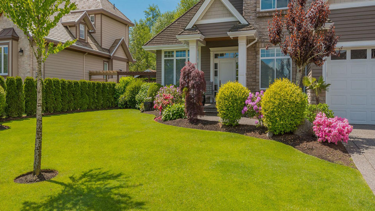 Landscaping 101 How To Create A Refreshing Garden