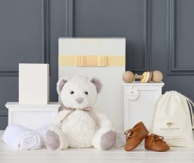 Choosing The Best Baby Hampers and Gifts for the New Mom