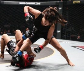 A guideline to understanding mixed martial arts thoroughly