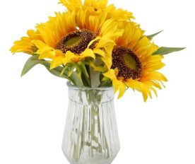 All you need to need to know about sunflower bouquet