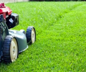 The 2022's Leading Landscaping Service In Singapore