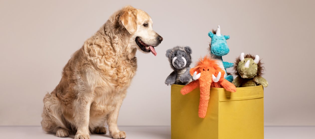 Maximizing the Use of Your Pet Supplies