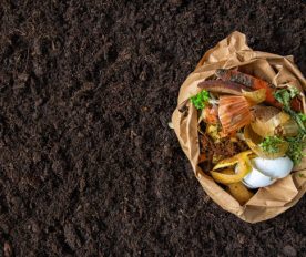 Exploring the Benefits of Industrial Composting Systems