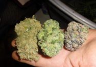 Easing Pain