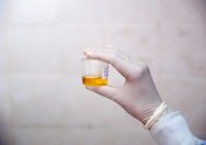 Role of Synthetic Urine