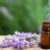 Experience the Essence of Nature: Florihana’s Premium Essential Oils in Hong Kong